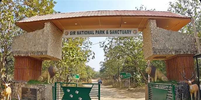 Gir National Park